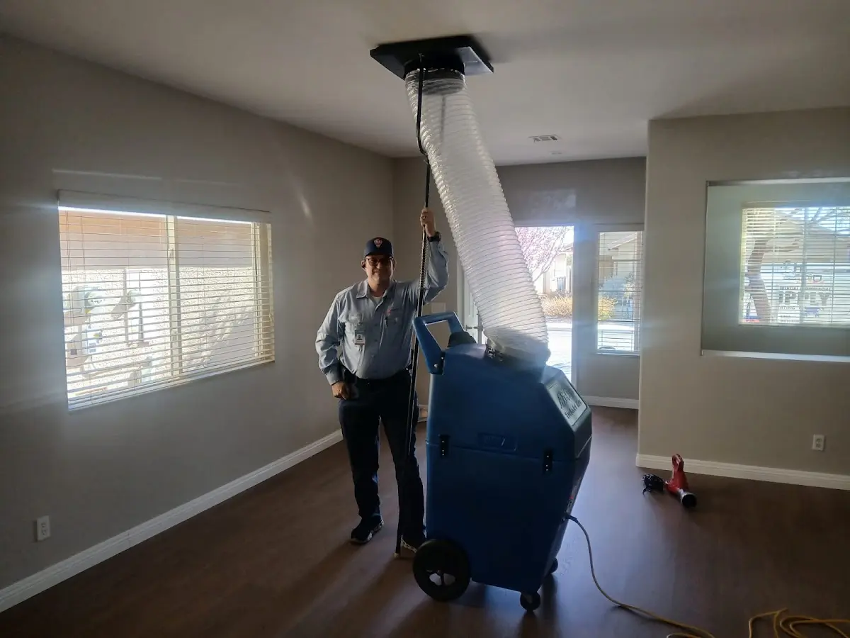 Professional Dryer Vent Cleaning work inside a Seabrook home